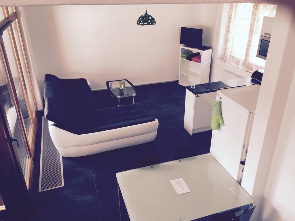 Apartman Martin Lipno nad Vltavou Cameră foto