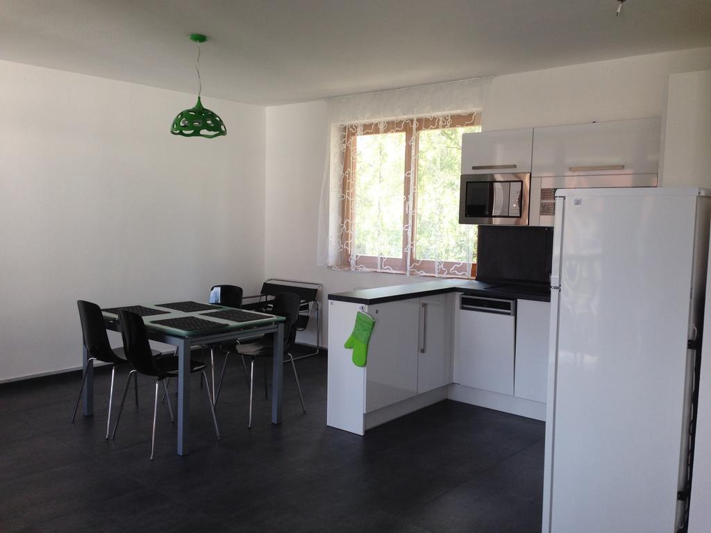 Apartman Martin Lipno nad Vltavou Cameră foto